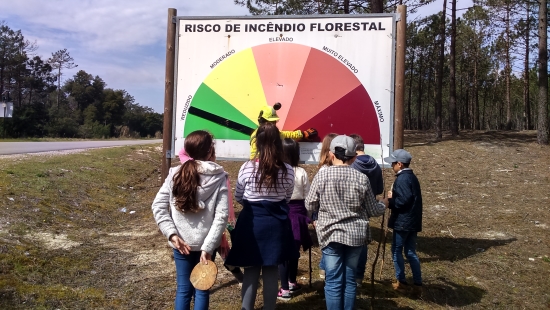 Governo prorrogou período crítico de incêndios florestais até 15 de outubro