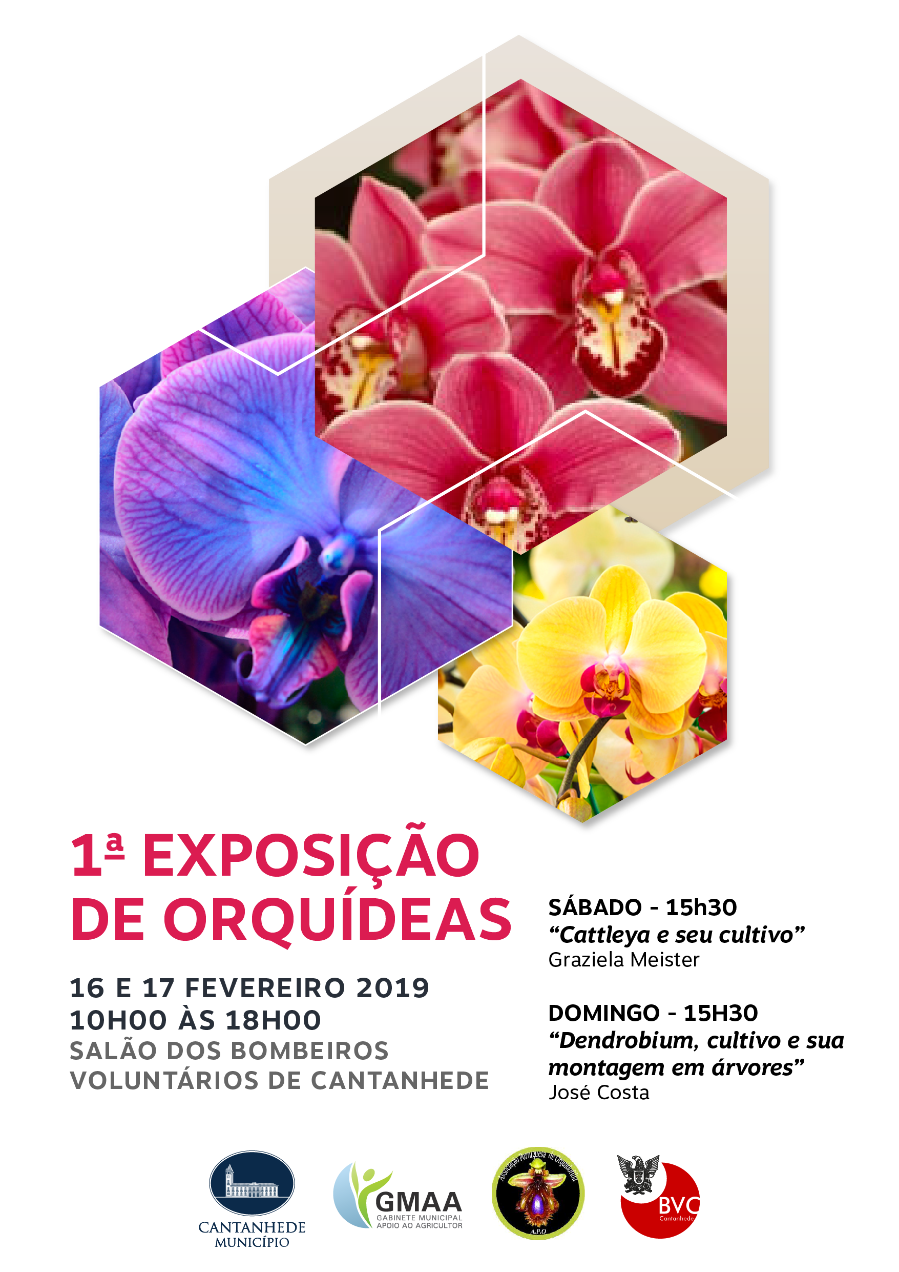 ~/Media/Upload/2019\2019123161359_Exposição de Orquídeas-01.png