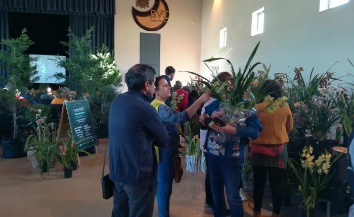 Câmara Municipal promove 4.ª edição da Exposição de Orquídeas