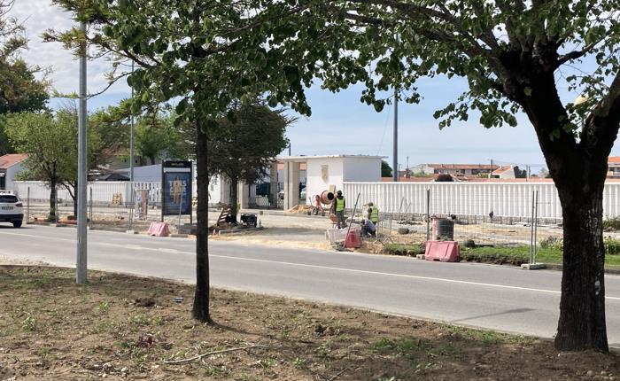 Município vai plantar 95 árvores na Rua dos Bombeiros Voluntários