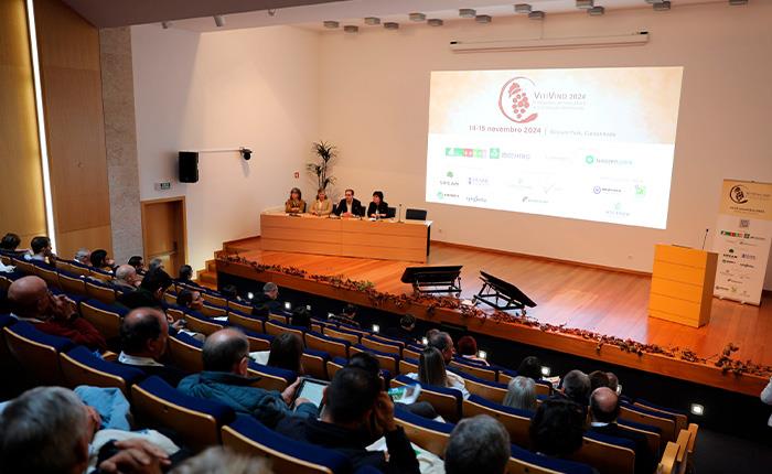 Futuro da vitivinicultura passa pela busca de soluções inovadoras