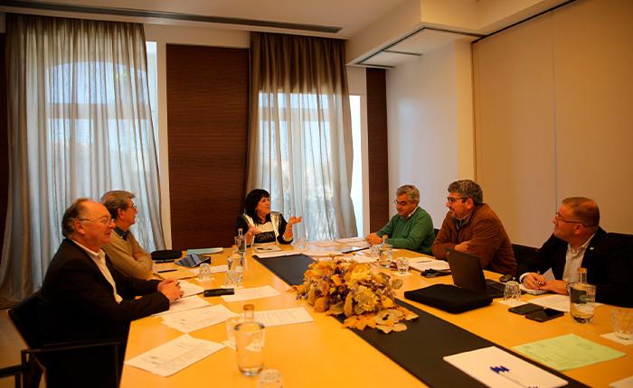 Oito associações com direito a subsídio por mérito desportivo