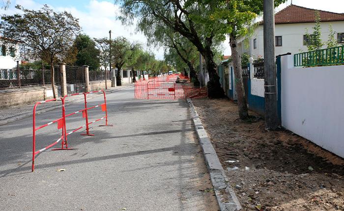 Árvores substituídas na rua General Humberto Delgado