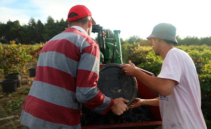 Assembleia aprovou regulamento do Conselho Municipal de Agricultura