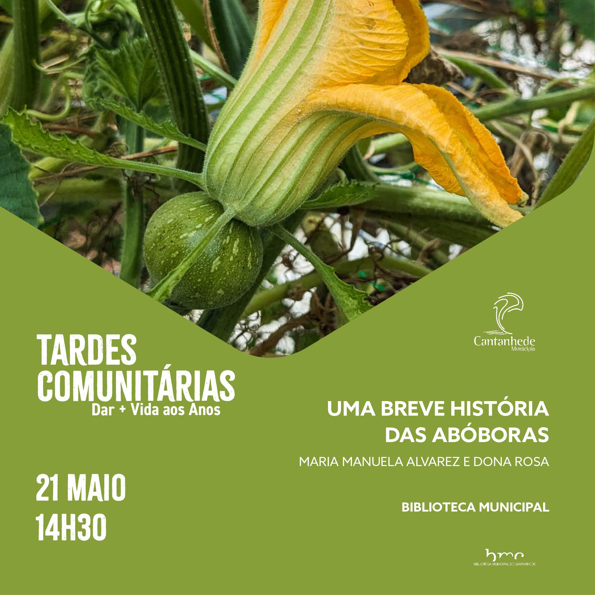 ~/Media/Upload/2025\202556112426_TardesComunitarias2025PostCopia19.jpg