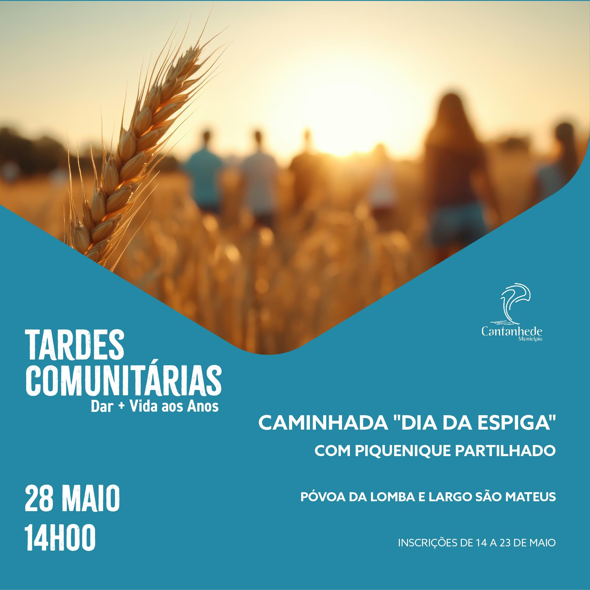 ~/Media/Upload/2025\202556115326_TardesComunitarias2025PostCopia20.jpg