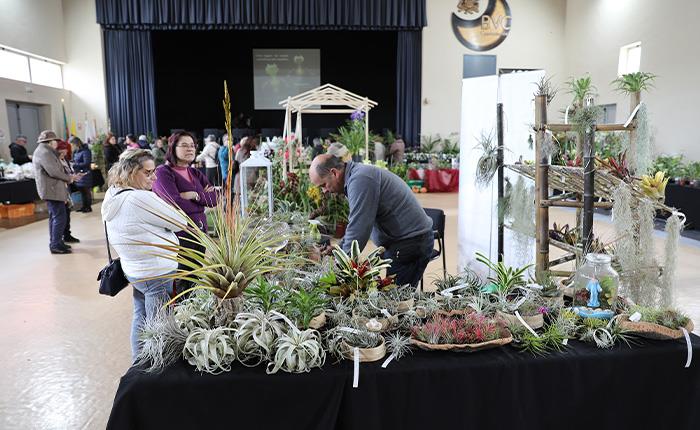 Cantanhede acolhe 7.ª Exposição de Orquídeas
