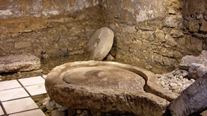 Município de Cantanhede